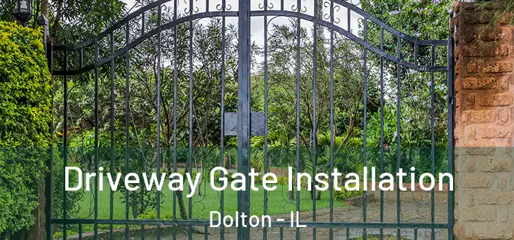 Driveway Gate Installation Dolton - IL