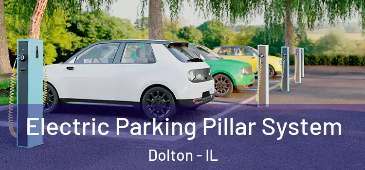  Electric Parking Pillar System Dolton - IL