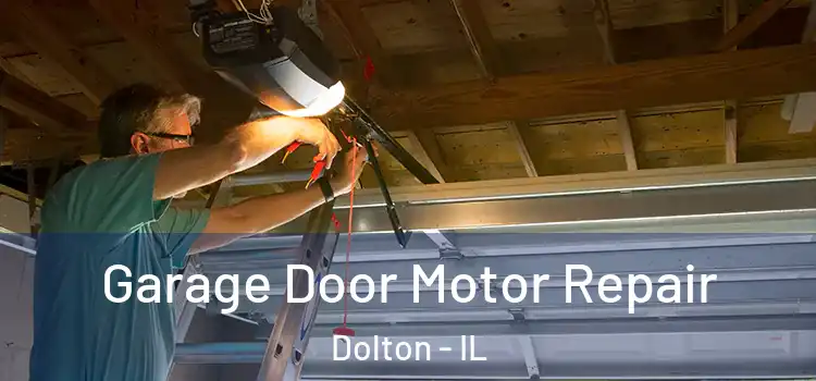  Garage Door Motor Repair Dolton - IL