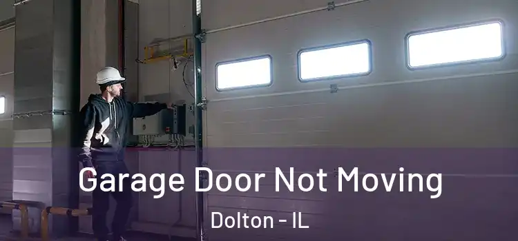  Garage Door Not Moving Dolton - IL