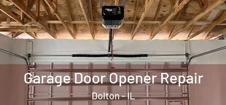  Garage Door Opener Repair Dolton - IL