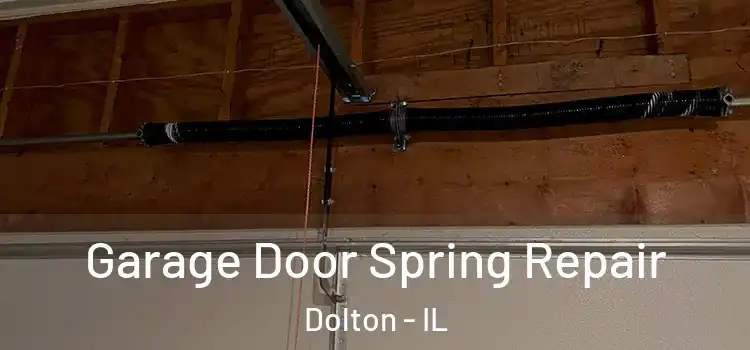  Garage Door Spring Repair Dolton - IL
