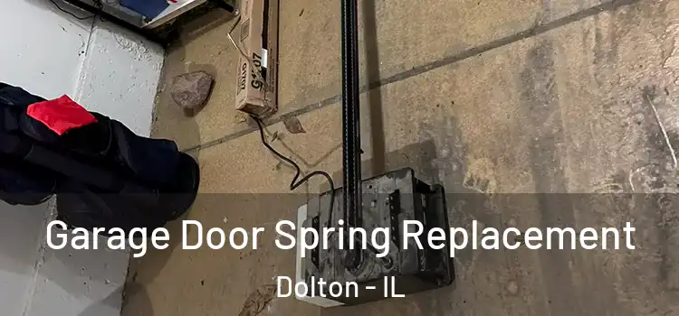  Garage Door Spring Replacement Dolton - IL