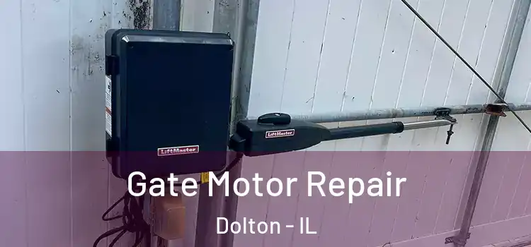 Gate Motor Repair Dolton - IL