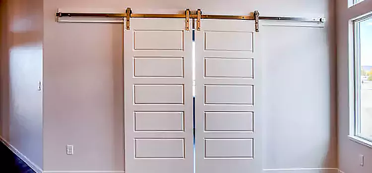 Glass Barn Door with Installation Hardware Kit Dolton