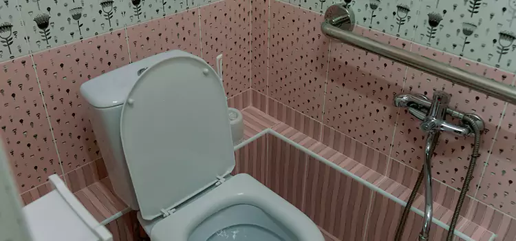 Meeting Diverse Needs With Accessible Restroom Solutions in Dolton, IL