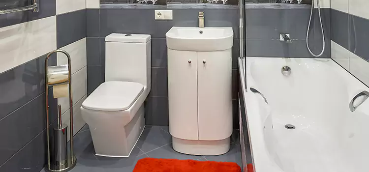 Hansgrohe Shaving Mirror Dolton