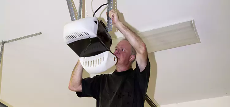 Garage Door Opener Service Dolton
