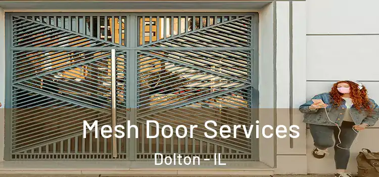Mesh Door Services Dolton - IL