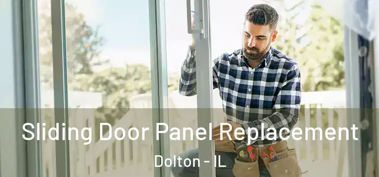  Sliding Door Panel Replacement Dolton - IL