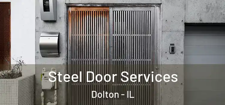 Steel Door Services Dolton - IL